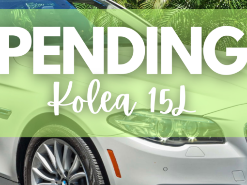 Kolea 15L
