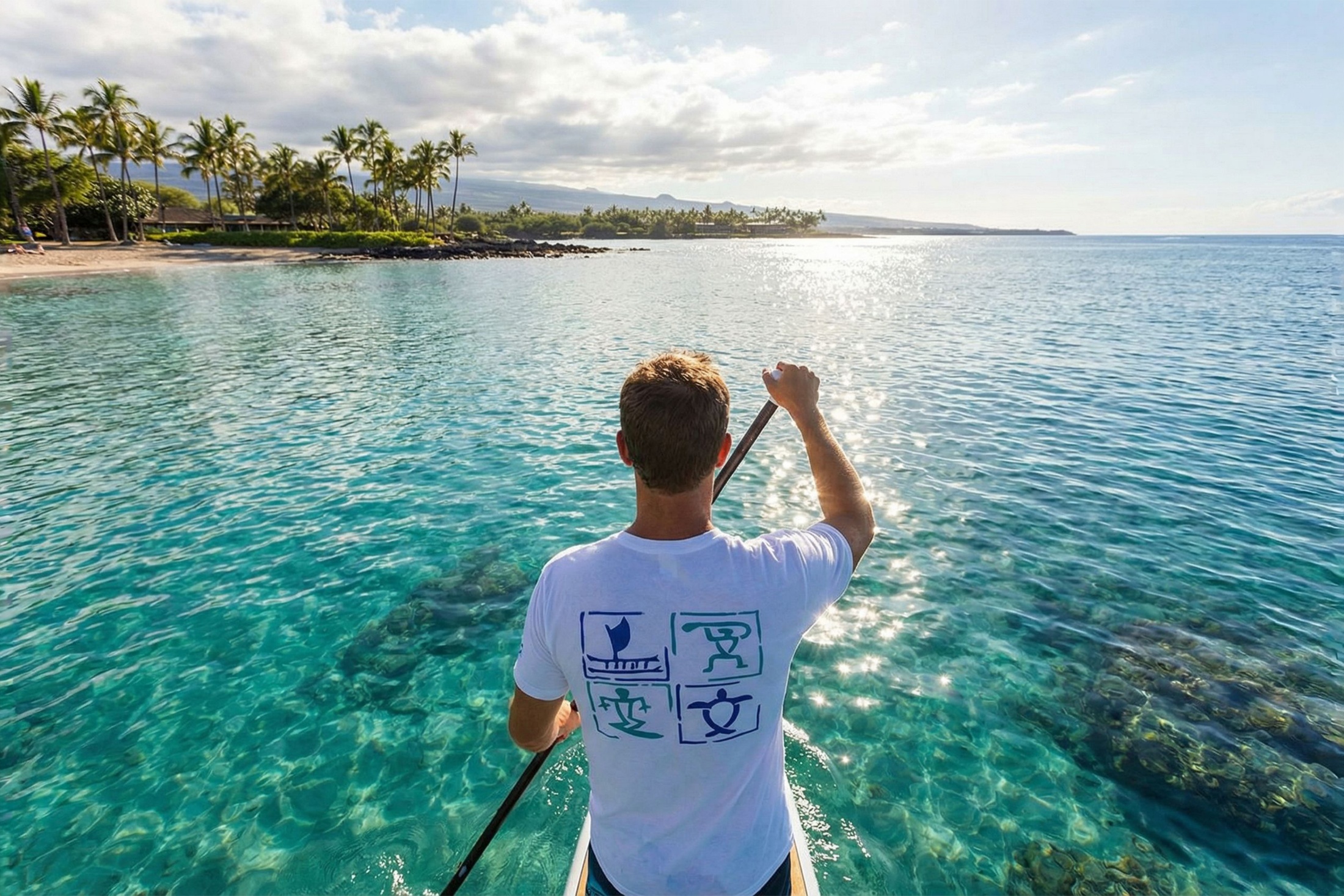 Hawaii Luxury Listings